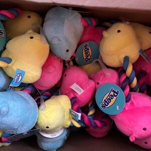 25 pieces Peeps Easter dog toy lot chick with Rope bottom Colorful Lot Brand NEW